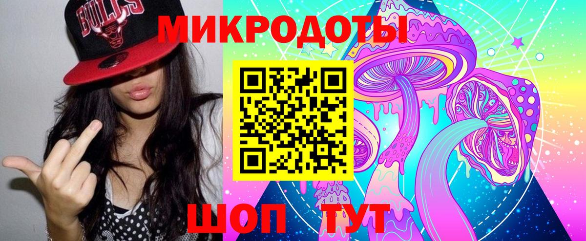 Псилоцибиновые грибы Psilocybe Кудрово